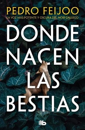 DONDE NACEN LAS BESTIAS | 9791387652357 | FEIJOO, PEDRO | Llibreria Drac - Librería de Olot | Comprar libros en catalán y castellano online