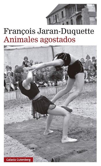 ANIMALES AGOSTADOS | 9791388019630 | JARAN-DUQUETTE, FRANÇOIS | Llibreria Drac - Llibreria d'Olot | Comprar llibres en català i castellà online