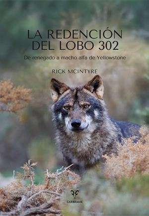 REDENCIÓN DEL LOBO 302, LA | 9788412949094 | MCINTYRE, RICK | Llibreria Drac - Llibreria d'Olot | Comprar llibres en català i castellà online