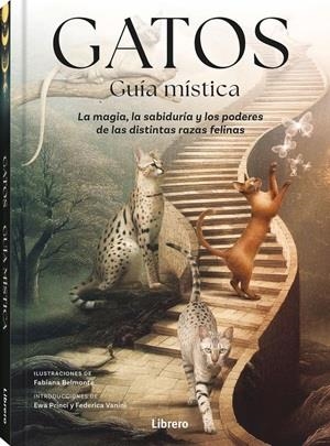 GATOS. GUIA MISTICA | 9789464992007 | BELMONTE, FABIANA | Llibreria Drac - Llibreria d'Olot | Comprar llibres en català i castellà online