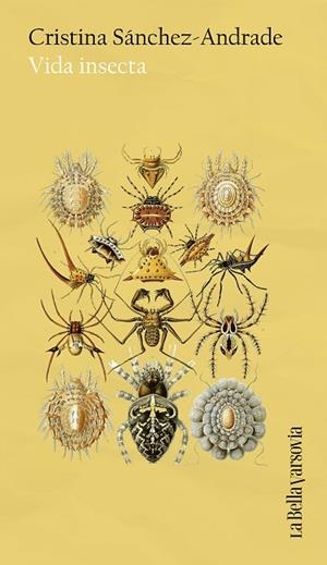 VIDA INSECTA | 9788433949653 | SÁNCHEZ-ANDRADE, CRISTINA | Llibreria Drac - Llibreria d'Olot | Comprar llibres en català i castellà online