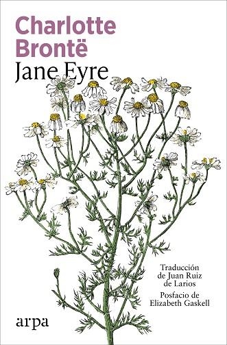 JANE EYRE | 9791387833947 | BRONTË, CHARLOTTE | Llibreria Drac - Llibreria d'Olot | Comprar llibres en català i castellà online