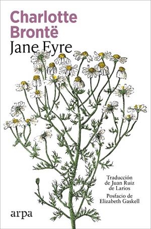 JANE EYRE | 9791387833947 | BRONTË, CHARLOTTE | Llibreria Drac - Llibreria d'Olot | Comprar llibres en català i castellà online