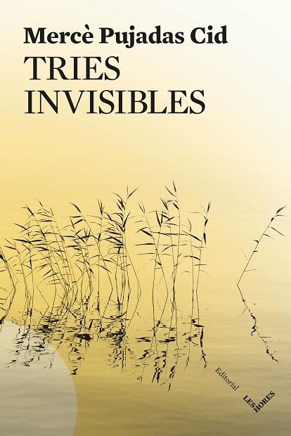 TRIES INVISIBLES | 9791399072150 | PUJADAS, MERCÈ | Llibreria Drac - Llibreria d'Olot | Comprar llibres en català i castellà online