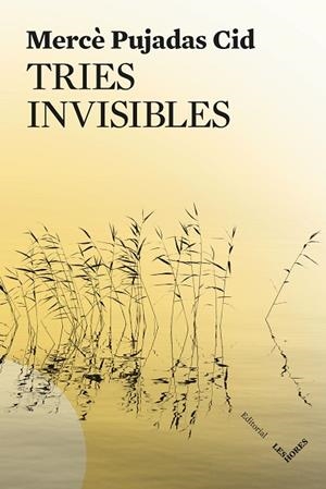 TRIES INVISIBLES | 9791399072150 | PUJADAS, MERCÈ | Llibreria Drac - Llibreria d'Olot | Comprar llibres en català i castellà online