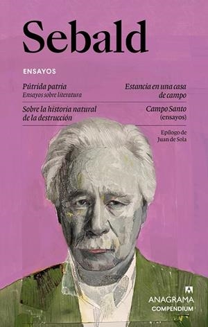 SEBALD - ENSAYOS | 9788433949585 | SEBALD, W. G. | Llibreria Drac - Llibreria d'Olot | Comprar llibres en català i castellà online
