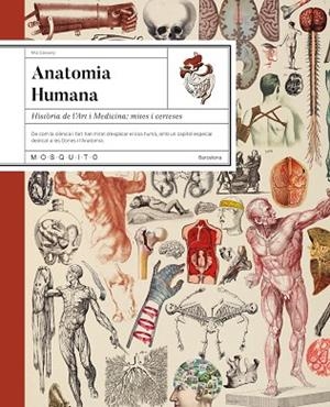 ANATOMIA HUMANA | 9788410417724 | CASSANY, MIA | Llibreria Drac - Llibreria d'Olot | Comprar llibres en català i castellà online