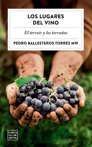 LUGARES DEL VINO, LOS | 9788408323051 | BALLESTEROS TORRES, PEDRO | Llibreria Drac - Librería de Olot | Comprar libros en catalán y castellano online