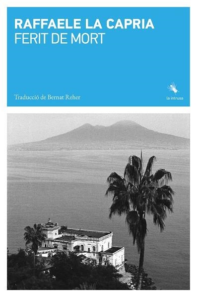 FERIT DE MORT | 9791399140989 | LA CAPRIA, RAFFAELE | Llibreria Drac - Llibreria d'Olot | Comprar llibres en català i castellà online