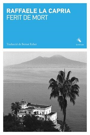 FERIT DE MORT | 9791399140989 | LA CAPRIA, RAFFAELE | Llibreria Drac - Llibreria d'Olot | Comprar llibres en català i castellà online