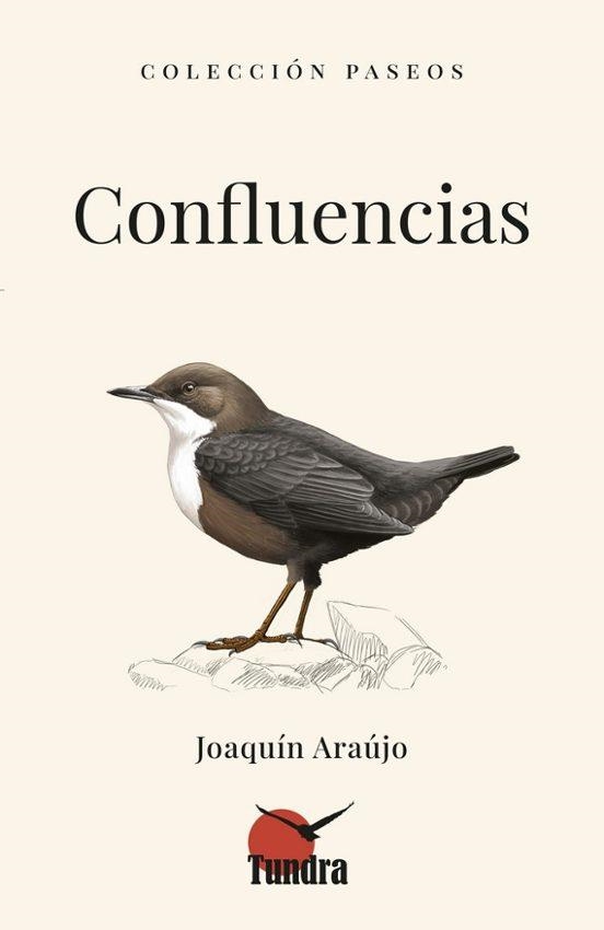 CONFLUENCIAS | 9791387759322 | ARAUJO, JOAQUIN | Llibreria Drac - Librería de Olot | Comprar libros en catalán y castellano online