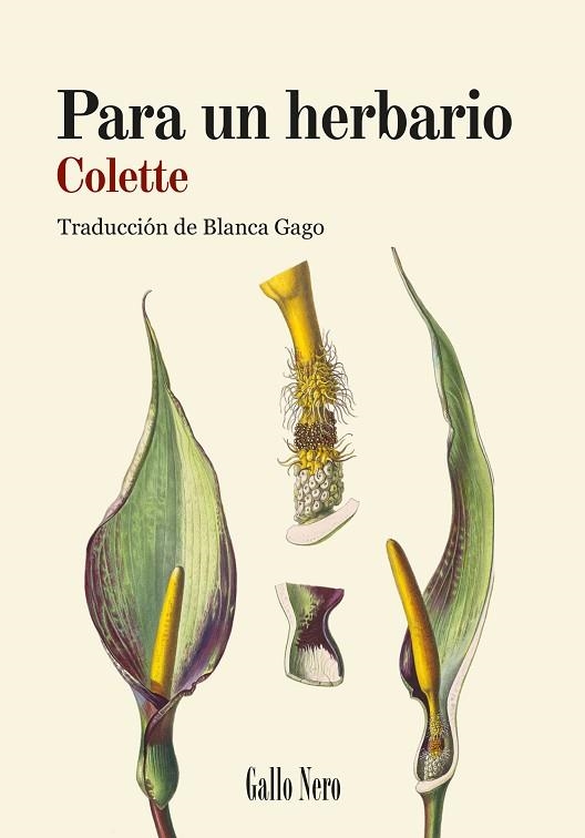 PARA UN HERBARIO | 9788419168887 | COLETTE, SIDONIE-GABRIELLE | Llibreria Drac - Llibreria d'Olot | Comprar llibres en català i castellà online