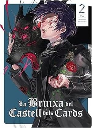 BRUIXA DEL CASTELL DELS CARDS, LA | 9788412998955 | TARACHINE, JOHN | Llibreria Drac - Llibreria d'Olot | Comprar llibres en català i castellà online