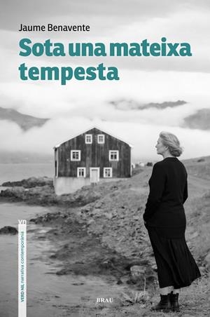 SOTA UNA MATEIXA TEMPESTA | 9791387701147 | BENAVENTE CASSANYES, JAUME | Llibreria Drac - Llibreria d'Olot | Comprar llibres en català i castellà online