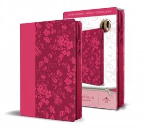 BIBLIA REINA VALERA 1960 LETRA GRANDE. SÍMIL FUCSIA | 9781644733851 | AA.DD. | Llibreria Drac - Librería de Olot | Comprar libros en catalán y castellano online