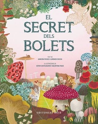 SECRET DELS BOLETS, EL | 9791387728502 | PICOCO, GINEVRA; COCCHI, LORENZO | Llibreria Drac - Librería de Olot | Comprar libros en catalán y castellano online