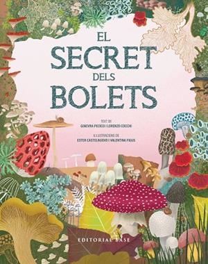 SECRET DELS BOLETS, EL | 9791387728502 | PICOCO, GINEVRA; COCCHI, LORENZO | Llibreria Drac - Librería de Olot | Comprar libros en catalán y castellano online