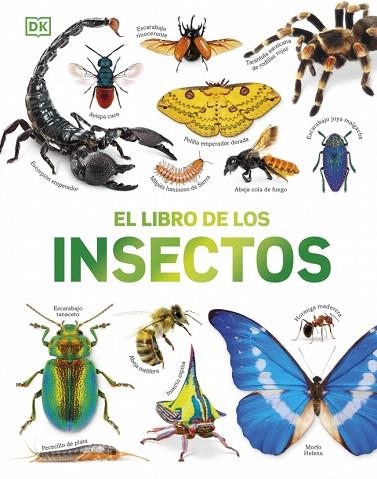LIBRO DE LOS INSECTOS, EL | 9780241839386 | DK | Llibreria Drac - Llibreria d'Olot | Comprar llibres en català i castellà online