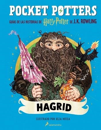 HAGRID (POCKET POTTERS) | 9788419868862 | ROWLING, J.K. | Llibreria Drac - Llibreria d'Olot | Comprar llibres en català i castellà online
