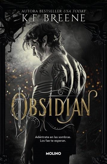 OBSIDIAN (LOS FAE DE LAS SOMBRAS 1) | 9788427257290 | BREENE, K.F. | Llibreria Drac - Librería de Olot | Comprar libros en catalán y castellano online
