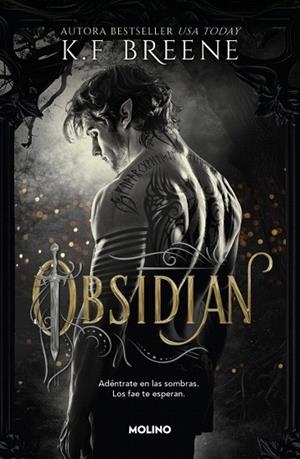 OBSIDIAN (LOS FAE DE LAS SOMBRAS 1) | 9788427257290 | BREENE, K.F. | Llibreria Drac - Librería de Olot | Comprar libros en catalán y castellano online