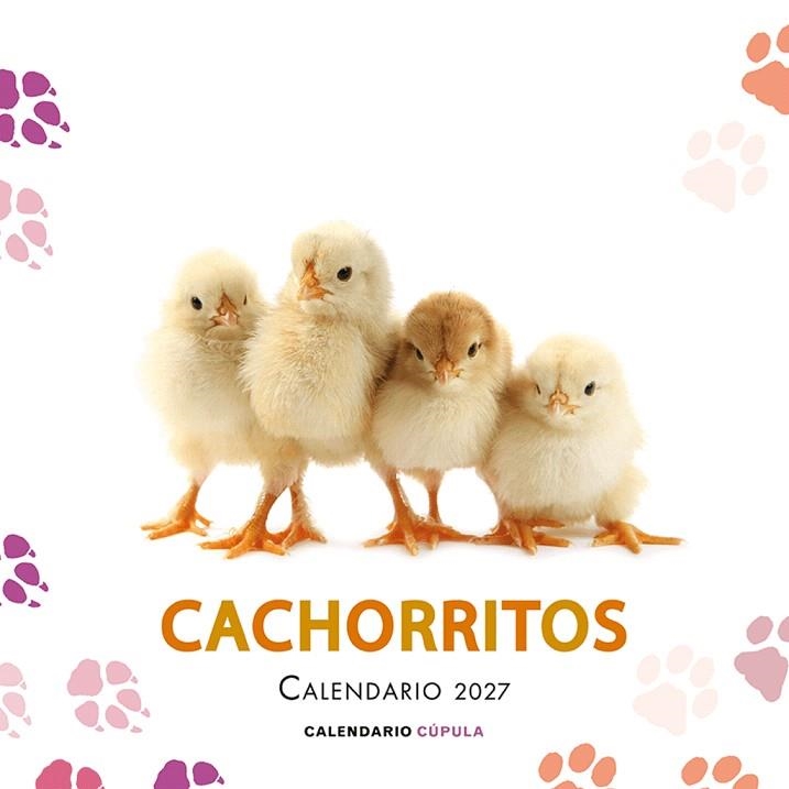 CALENDARIO CACHORRITOS 2027 | 9788448049317 | AA.DD. | Llibreria Drac - Librería de Olot | Comprar libros en catalán y castellano online
