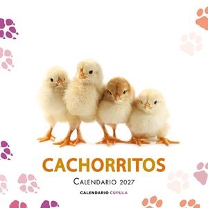 CALENDARIO CACHORRITOS 2027 | 9788448049317 | AA.DD. | Llibreria Drac - Librería de Olot | Comprar libros en catalán y castellano online
