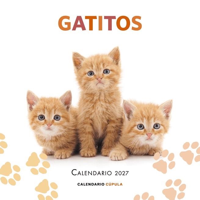CALENDARIO GATITOS 2027 | 9788448049300 | AA.DD. | Llibreria Drac - Librería de Olot | Comprar libros en catalán y castellano online