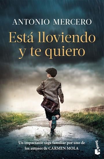 ESTÁ LLOVIENDO Y TE QUIERO | 9788408326724 | MERCERO, ANTONIO | Llibreria Drac - Llibreria d'Olot | Comprar llibres en català i castellà online