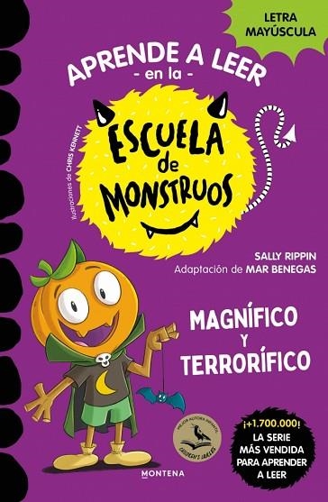 MAGNÍFICO Y TERRORÍFICO (APRENDER A LEER EN LA ESCUELA DE MONSTRUOS 25) | 9791387809829 | RIPPIN, SALLY | Llibreria Drac - Llibreria d'Olot | Comprar llibres en català i castellà online