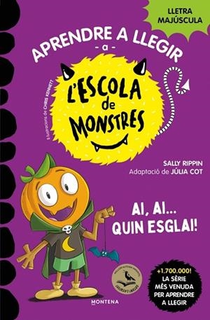 AI, AI... QUIN ESGLAI! (APRENDRE A LLEGIR A L'ESCOLA DE MONSTRES 25) | 9791387809836 | RIPPIN, SALLY | Llibreria Drac - Llibreria d'Olot | Comprar llibres en català i castellà online