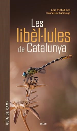 LIBÈL·LULES DE CATALUNYA, LES | 9791387701178 | GRUP D'ESTUDIS DELS ODONATS DE CATALUNYA | Llibreria Drac - Librería de Olot | Comprar libros en catalán y castellano online