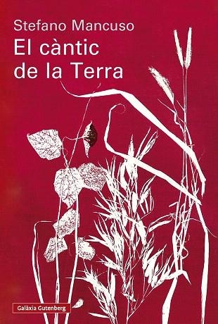 CÀNTIC DE LA TERRA, EL | 9791388019852 | MANCUSO, STEFANO | Llibreria Drac - Llibreria d'Olot | Comprar llibres en català i castellà online