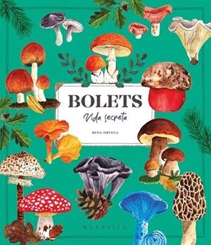 BOLETS VIDA SECRETA | 9788410417687 | ORTEGA, RENA | Llibreria Drac - Llibreria d'Olot | Comprar llibres en català i castellà online