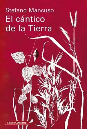 CÁNTICO DE LA TIERRA, EL | 9791388019845 | MANCUSO, STEFANO | Llibreria Drac - Llibreria d'Olot | Comprar llibres en català i castellà online