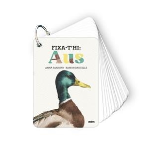 FIXA-T'HI AUS | 9788410407640 | SANJUAN, ANNA; BAUCELLS, RAMON | Llibreria Drac - Librería de Olot | Comprar libros en catalán y castellano online