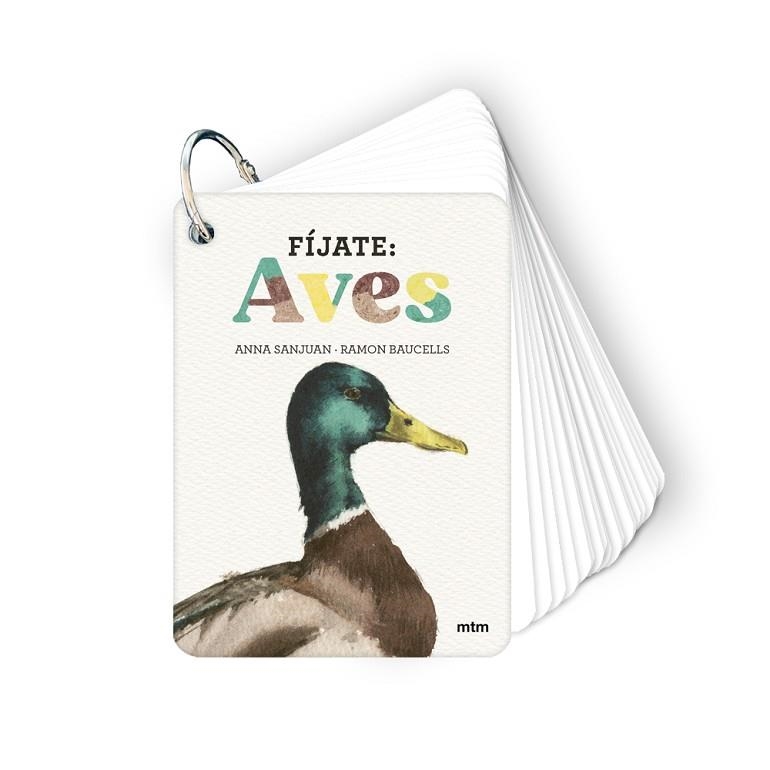FÍJATE AVES | 9788410407633 | SANJUAN, ANNA; BAUCELLS, RAMON | Llibreria Drac - Librería de Olot | Comprar libros en catalán y castellano online