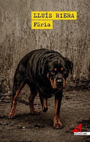 FÚRIA | 9791388174247 | RIERA, LLUIS | Llibreria Drac - Llibreria d'Olot | Comprar llibres en català i castellà online