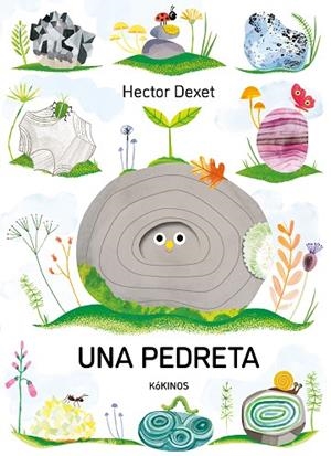 PEDRETA, UNA | 9791387686413 | DEXET, HECTOR | Llibreria Drac - Llibreria d'Olot | Comprar llibres en català i castellà online