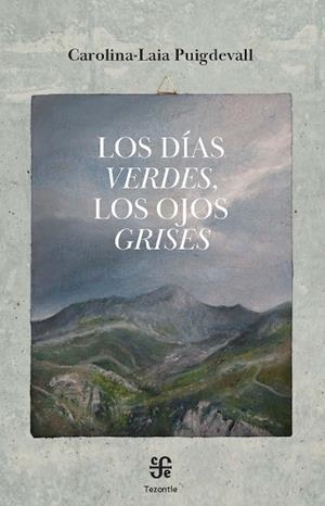 DÍAS VERDES, LOS OJOS GRISES, LOS | 9788437508658 | PUIGDEVALL, CAROLINA-LAIA | Llibreria Drac - Llibreria d'Olot | Comprar llibres en català i castellà online