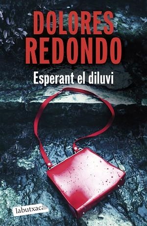 ESPERANT EL DILUVI | 9791387802875 | REDONDO, DOLORES | Llibreria Drac - Librería de Olot | Comprar libros en catalán y castellano online