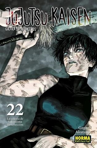 JUJUTSU KAISEN 22 | 9788467962000 | AKUTAMI, GEGE | Llibreria Drac - Llibreria d'Olot | Comprar llibres en català i castellà online