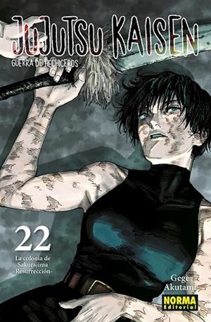 JUJUTSU KAISEN 22 | 9788467962000 | AKUTAMI, GEGE | Llibreria Drac - Llibreria d'Olot | Comprar llibres en català i castellà online