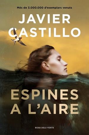 ESPINES A L'AIRE | 9788410256354 | CASTILLO, JAVIER | Llibreria Drac - Llibreria d'Olot | Comprar llibres en català i castellà online