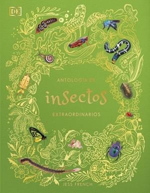 ANTOLOGÍA DE INSECTOS EXTRAORDINARIOS | 9780241838792 | FRENCH, JESS | Llibreria Drac - Llibreria d'Olot | Comprar llibres en català i castellà online