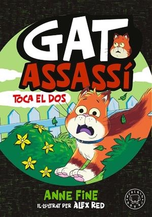 DIARI D’UN GAT ASSASSÍ. TOCA EL DOS. | 9791388154584 | FINE, ANNE | Llibreria Drac - Llibreria d'Olot | Comprar llibres en català i castellà online