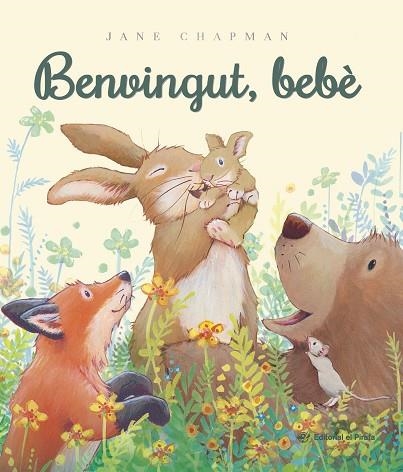BENVINGUT, BEBÈ | 9788419912640 | CHAPMAN, JANE | Llibreria Drac - Llibreria d'Olot | Comprar llibres en català i castellà online