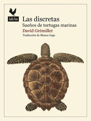 DISCRETAS, LAS | 9788419168986 | GRÉMILLET, DAVID | Llibreria Drac - Librería de Olot | Comprar libros en catalán y castellano online