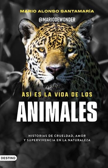 ASÍ ES LA VIDA DE LOS ANIMALES | 9788423370979 | ALONSO SANTAMARÍA, MARIO (@MARIODEWONDER) | Llibreria Drac - Librería de Olot | Comprar libros en catalán y castellano online