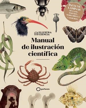 MANUAL DE ILUSTRACIÓN CIENTÍFICA (NUEVA EDICIÓN CON LÁMINAS) | 9788408328117 | AA.DD. | Llibreria Drac - Llibreria d'Olot | Comprar llibres en català i castellà online